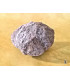 Géode de quartz Bola Bola du Nouveau Mexique