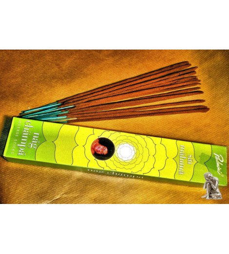 Encens Nag champa Indien Padmini
