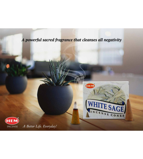 Encens Sauge Blanche en cônes