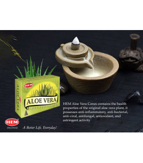 Encens Aloe Vera en cônes