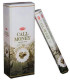 Encens Indien Call Money - Pour Attirer l'Argent