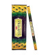 Encens Aloe Vera - Bâtonnets Indien