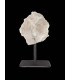 Druse de Quartz brut du Brésil sur socle