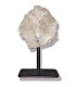Druse de Quartz brut du Brésil sur socle