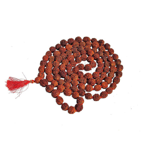 Véritable Mâlâ en Graines de Rudraksha du Népal