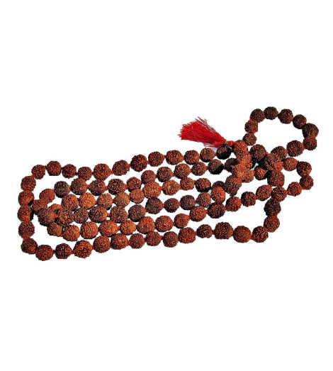 Véritable Mâlâ en Graines de Rudraksha du Népal