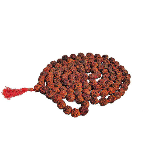 Véritable Mâlâ en Graines de Rudraksha du Népal