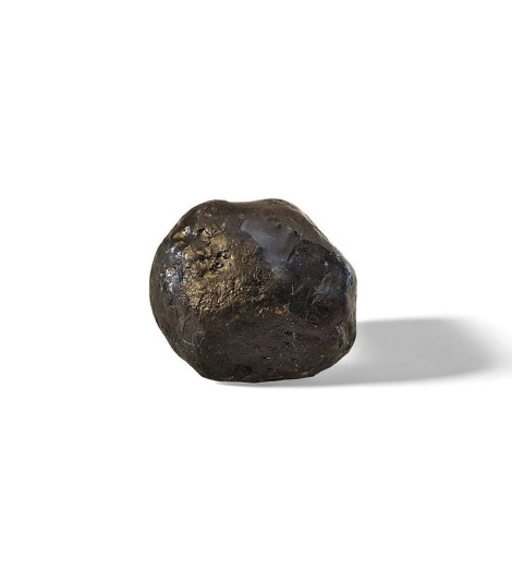 Larme d'Apache d'Arizona Obsidienne 25gr