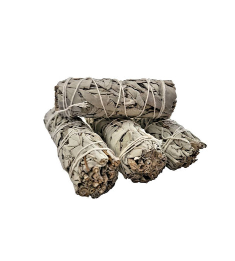 Coffret Sauge Blanche – 4 Fagots de Purification - Encens & Tradition