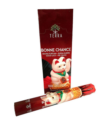 Encens Indien Sans Charbon - Pour la Bonne Chance