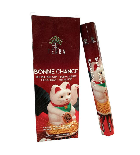 Encens Indien Sans Charbon - Pour la Bonne Chance