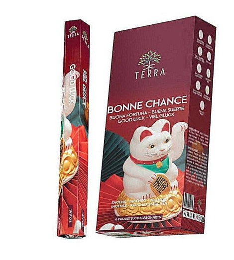 Encens Indien Sans Charbon - Pour la Bonne Chance