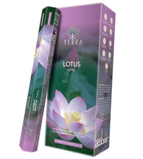 Encens Terra Lotus