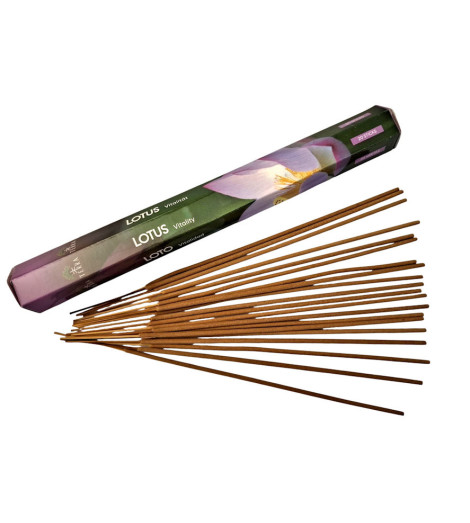 Encens Terra Lotus