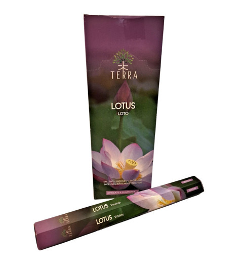 Encens Terra Lotus