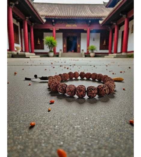 Mala-Bracelet en Rudraksha – 21 Perles temple bouddhiste