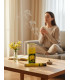 Encens Naturel Ylang Ylang Aromatika fumant