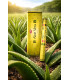 Encens Indien Aloe Vera HEM champs d'aloe vera