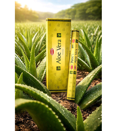 Encens Indien Aloe Vera HEM champs d'aloe vera