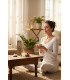 Encens Jasmin HEM - boite 10g ambiance méditation