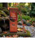 Encens Ambre & Santal Krishan – Boîte de 10 g ambiance source