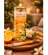 Encens Vanille & Orange HEM 10g avec fruits
