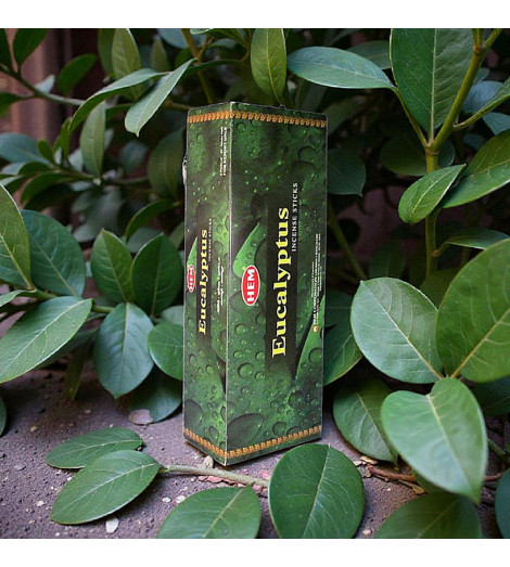 Encens Indien à l'Eucalyptus Hem dans verdure