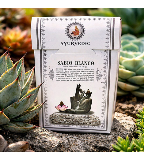 Encens Sauge Blanche en Cônes Ayurvédic - Ambiance succulentes