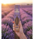 Encens Lavande Herbio - Encens Naturel Certifié ECOCERT