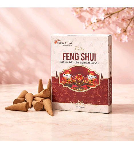 Encens Feng Shui Aromatika en Cônes