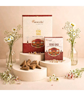 Encens Feng Shui Aromatika en Cônes