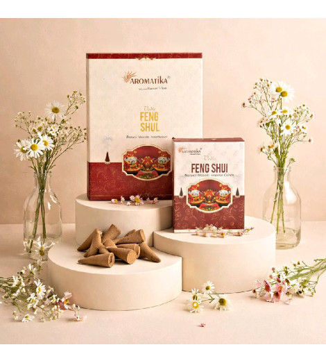 Encens Feng Shui Aromatika en Cônes