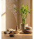 Encens Feng Shui Aromatika en Cônes
