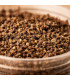 Encens Benjoin en Grains – Résine Naturelle