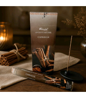 Encens Cannelle Aromatika