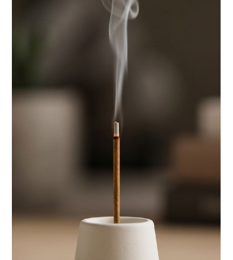 Encens Indien Ajaro – Protection et Purification