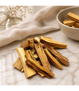 Palo Santo en Bûchettes – Bois Sacré de Purification - Encens & Tradition