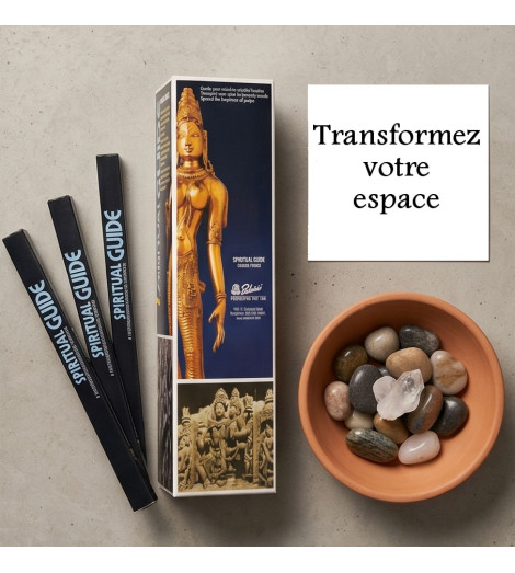 Encens Spiritual Guide – Padmini, Lot de 5 Boîtes