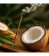 Encens Noix de Coco des Caraïbes – 20 Bâtonnets d'Évasion