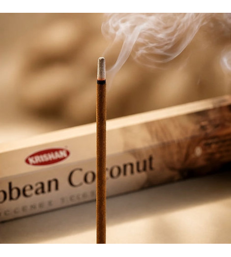 Encens Noix de Coco des Caraïbes – 20 Bâtonnets d'Évasion