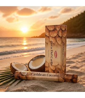 Encens Noix de Coco des Caraïbes – 20 Bâtonnets d'Évasion