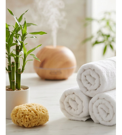 Diffuseur d'Huiles Essentielles à Brume