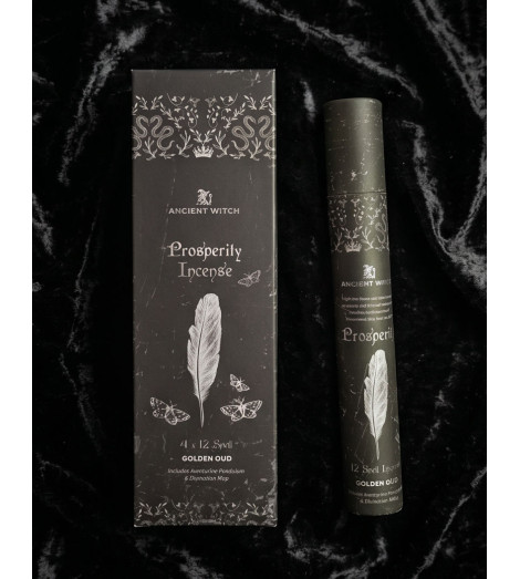 Encens Sortilège Prospérité – Pendule Aventurine – Ancient Witch