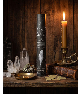 Coffret Encens Prospérité Ancient Witch – tube noir et accessoires de rituel