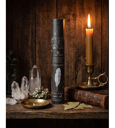 Coffret Encens Prospérité Ancient Witch – tube noir et accessoires de rituel