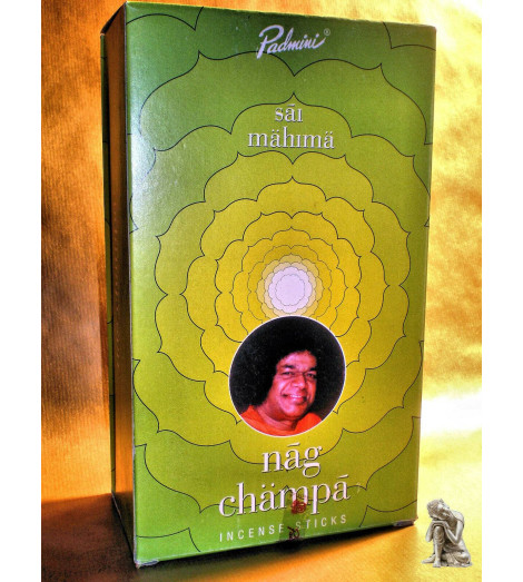 Encens Nag champa Indien Padmini