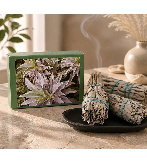 Savon Aromatika à la Sauge Blanche – Pain de 125 g