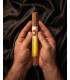 Encens Tibétain Bouddha Darshan dans les mains
