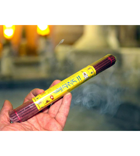 Encens Tibétain Hari Om – Mantra Primordial en main