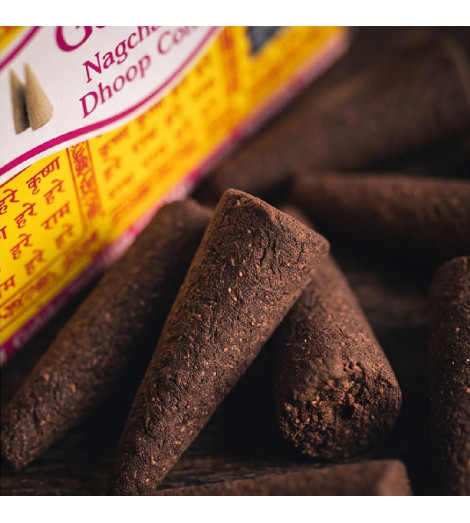 Encens Goloka Nag Champa Agarbathi – Cônes - détail